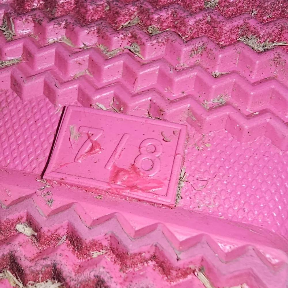 Western Chief Pink Unicorn Rain Boots